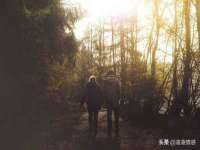 云南中视快运物流有限公司