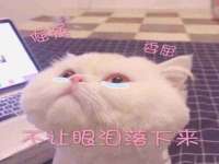云南中视快运物流有限公司