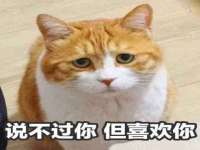 云南中视快运物流有限公司