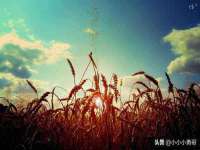 云南中视快运物流有限公司