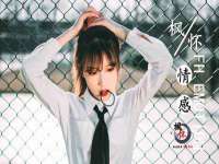 云南中视快运物流有限公司