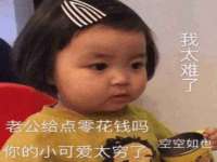 云南中视快运物流有限公司
