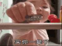 云南中视快运物流有限公司