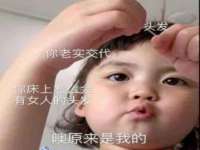 云南中视快运物流有限公司