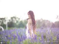 云南中视快运物流有限公司