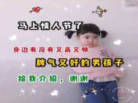 云南中视快运物流有限公司
