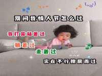 云南中视快运物流有限公司