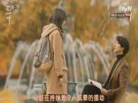 云南中视快运物流有限公司