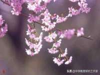 云南中视快运物流有限公司