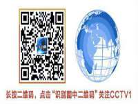 云南中视快运物流有限公司