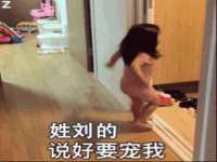 云南中视快运物流有限公司