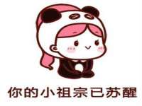 云南中视快运物流有限公司