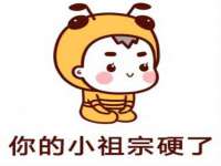 云南中视快运物流有限公司