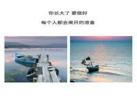 云南中视快运物流有限公司