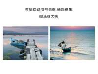 云南中视快运物流有限公司