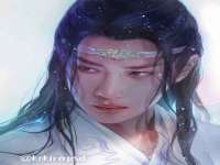 云南中视快运物流有限公司