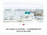 云南中视快运物流有限公司