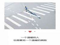 云南中视快运物流有限公司