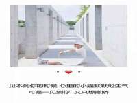 云南中视快运物流有限公司