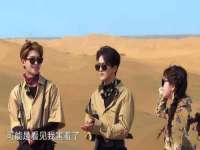 云南中视快运物流有限公司