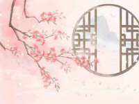 云南中视快运物流有限公司