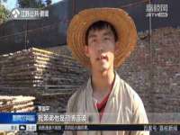 云南中视快运物流有限公司