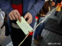 云南中视快运物流有限公司