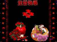 云南中视快运物流有限公司