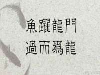 云南中视快运物流有限公司