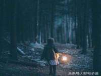云南中视快运物流有限公司