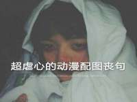 云南中视快运物流有限公司