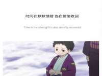 云南中视快运物流有限公司
