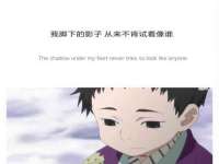 云南中视快运物流有限公司