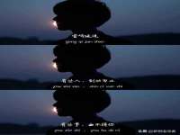云南中视快运物流有限公司