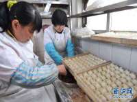 云南中视快运物流有限公司