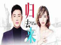 云南中视快运物流有限公司