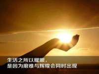 云南中视快运物流有限公司
