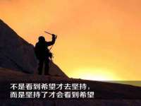 云南中视快运物流有限公司