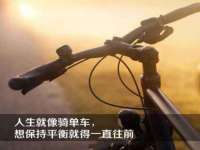 云南中视快运物流有限公司