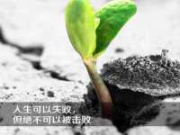云南中视快运物流有限公司