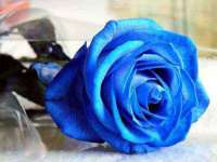 云南中视快运物流有限公司