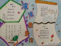 云南中视快运物流有限公司