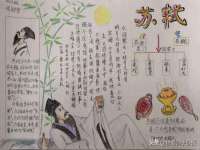 云南中视快运物流有限公司