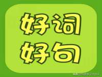 云南中视快运物流有限公司