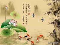云南中视快运物流有限公司