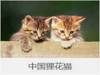 云南中视快运物流有限公司