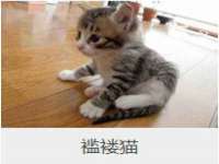 云南中视快运物流有限公司
