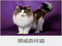 云南中视快运物流有限公司