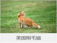 云南中视快运物流有限公司