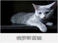 云南中视快运物流有限公司
